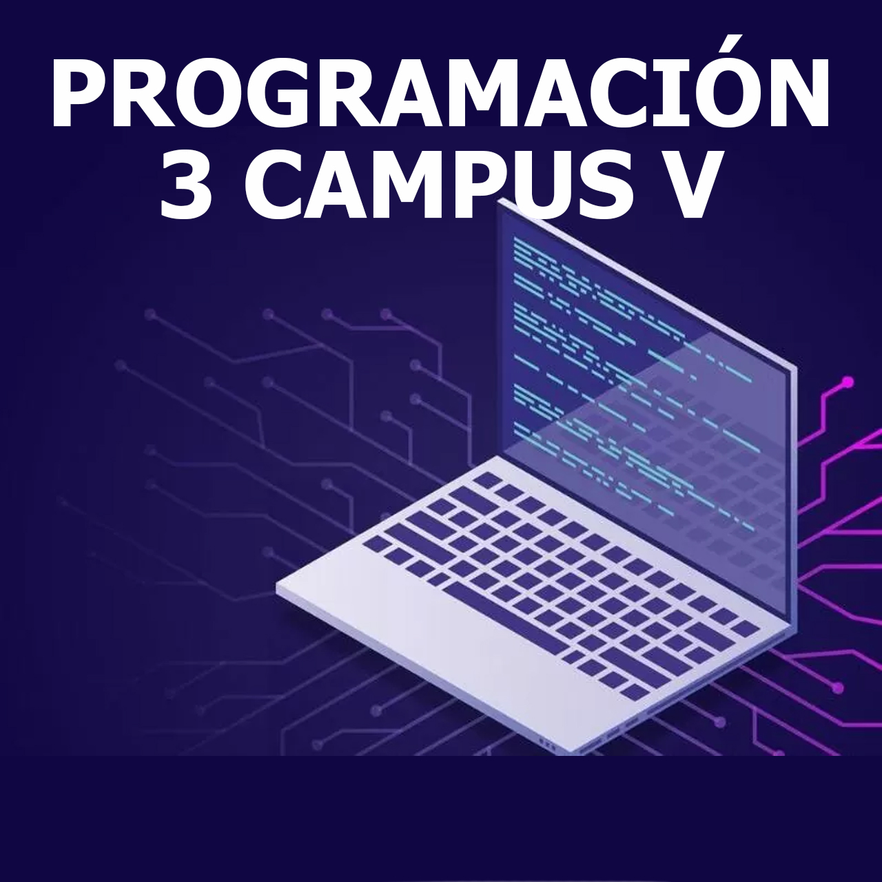 PROGRAMACIÓN 3 CAMPUS V